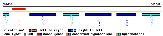 gene map