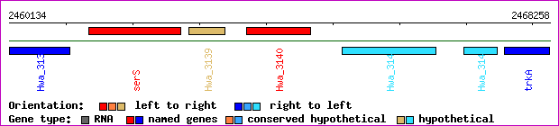 gene map