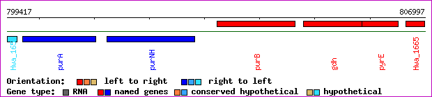 gene map