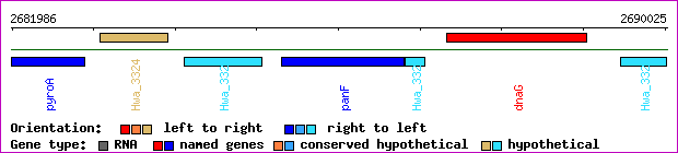 gene map