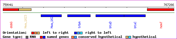 gene map