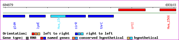 gene map
