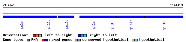gene map