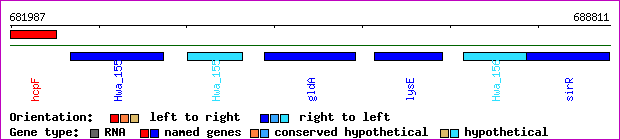 gene map