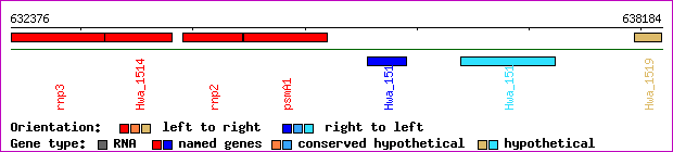 gene map