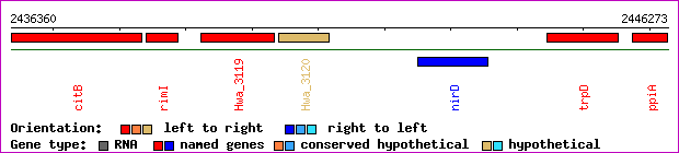 gene map