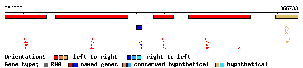 gene map