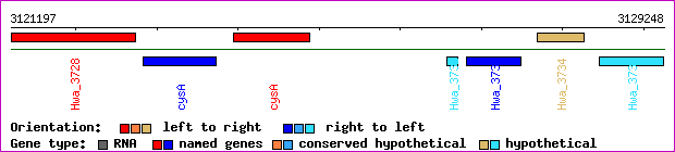 gene map