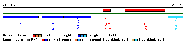 gene map
