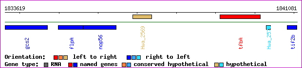 gene map