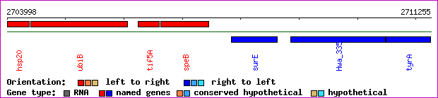 gene map