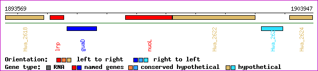 gene map