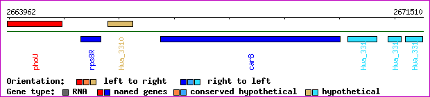 gene map
