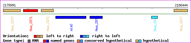 gene map