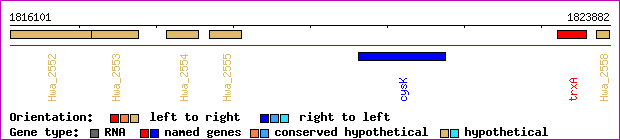 gene map