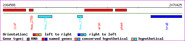 gene map