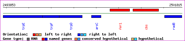 gene map