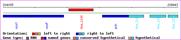 gene map