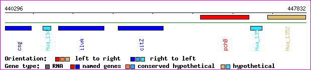 gene map