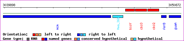 gene map
