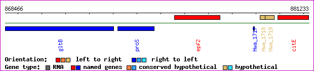 gene map
