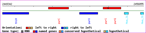 gene map