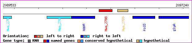 gene map