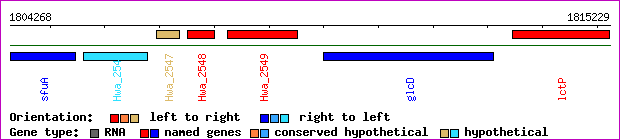 gene map