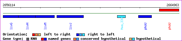 gene map