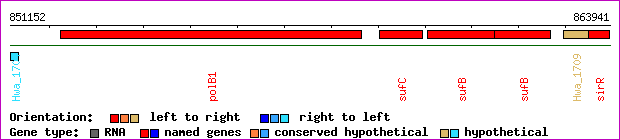 gene map