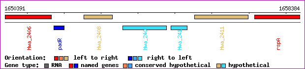 gene map