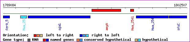 gene map