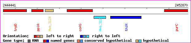 gene map