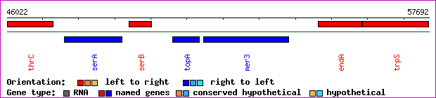 gene map