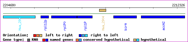gene map