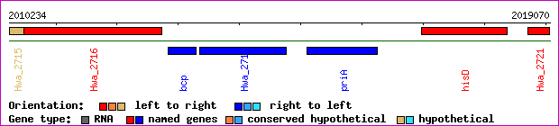 gene map