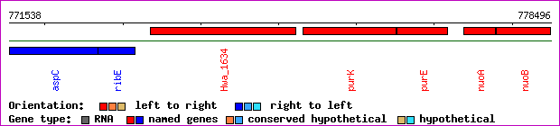 gene map
