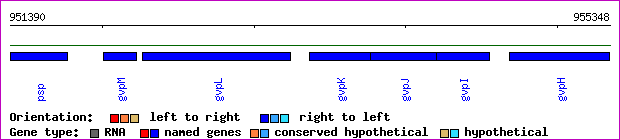 gene map