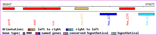 gene map