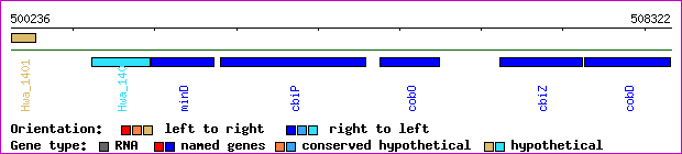 gene map