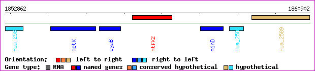 gene map