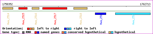 gene map