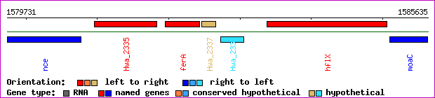 gene map