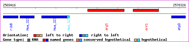 gene map