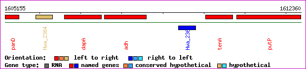 gene map