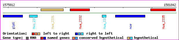 gene map