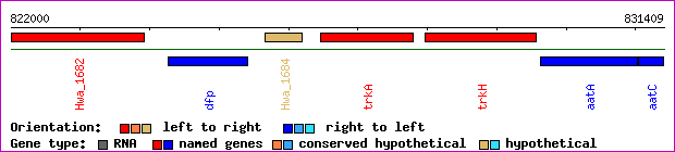 gene map