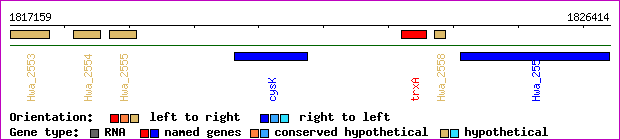 gene map
