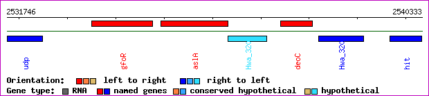 gene map
