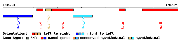 gene map